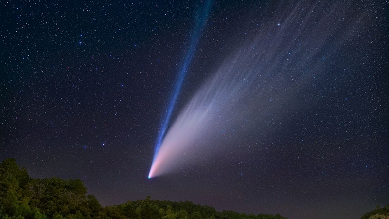 El cometa Neowise (imagen: National Geographic)