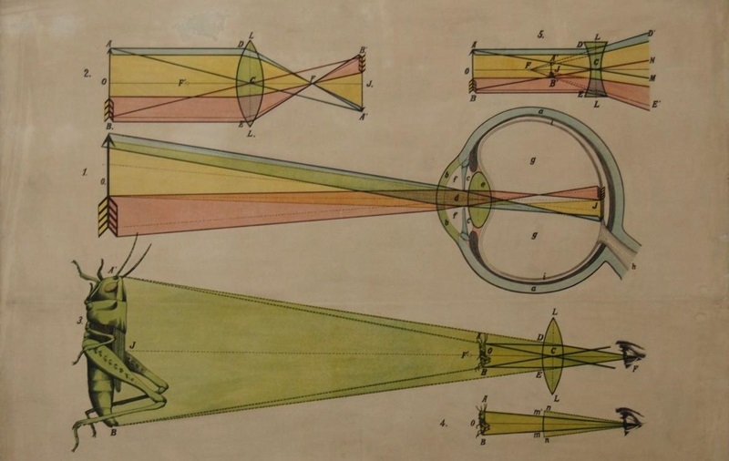 Colección del IES Cervantes (imagen: Comunidad de Madrid)