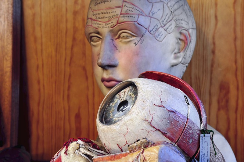 XXIII Semana de la Ciencia y la Innovación | Colección del IES Cardenal Cisneros (imagen: Comunidad de Madrid)