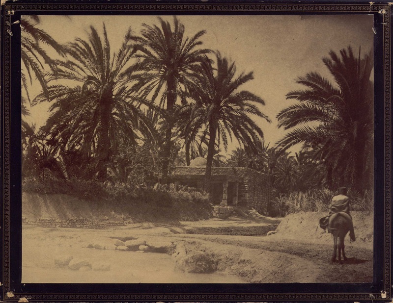 Túnez en sepia | Palmeral y sistema de riego. Oasis de El-Hamman (imagen: MAN)